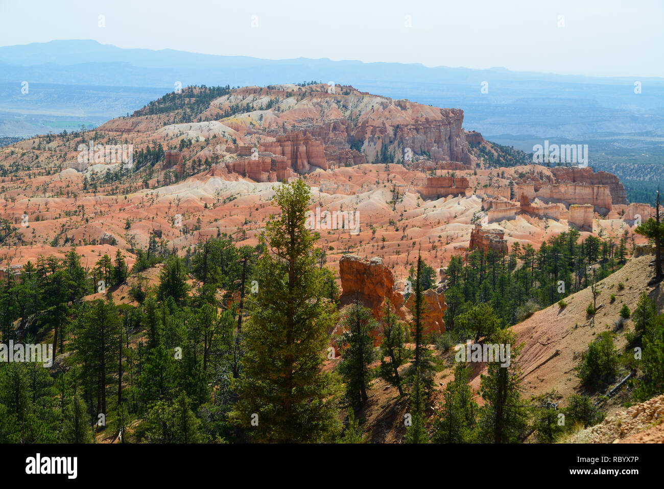 Le parc national de Bryce Canyon Banque D'Images