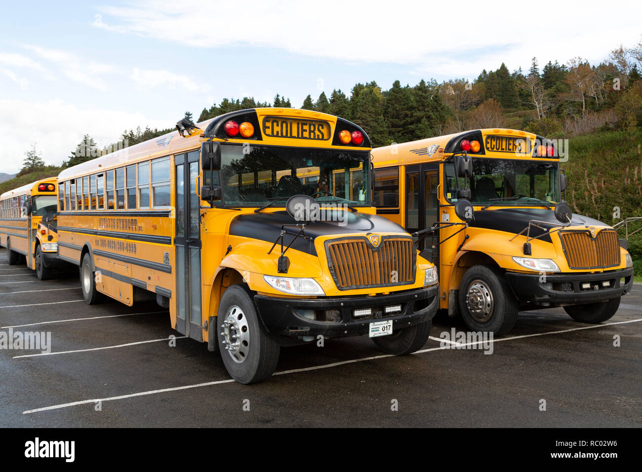 Les autobus scolaires dans la province de Québec, Canada. L'ours le signe Ecoliers (pour les érudits). Banque D'Images