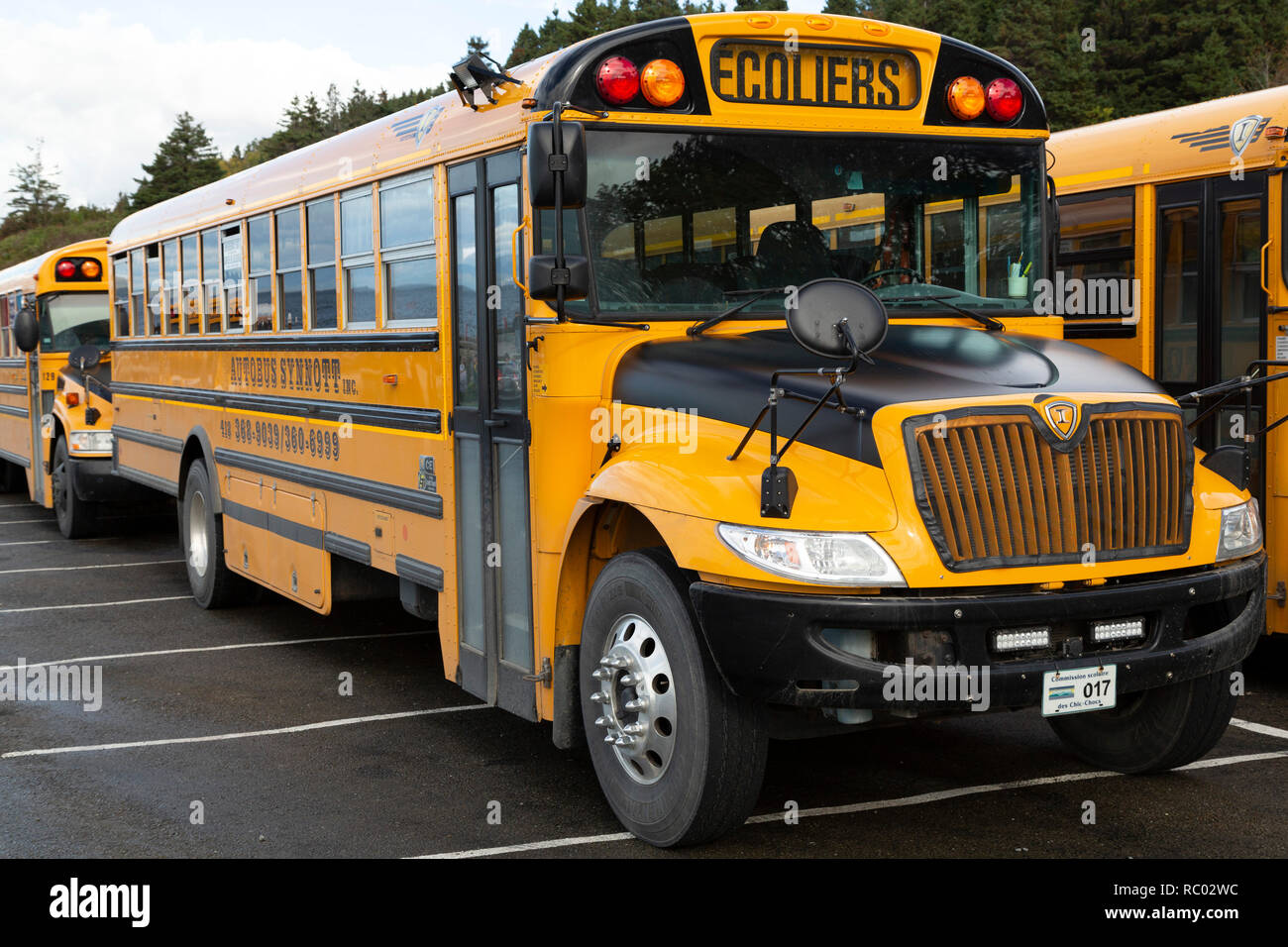 Les autobus scolaires dans la province de Québec, Canada. L'ours le signe Ecoliers (pour les érudits). Banque D'Images
