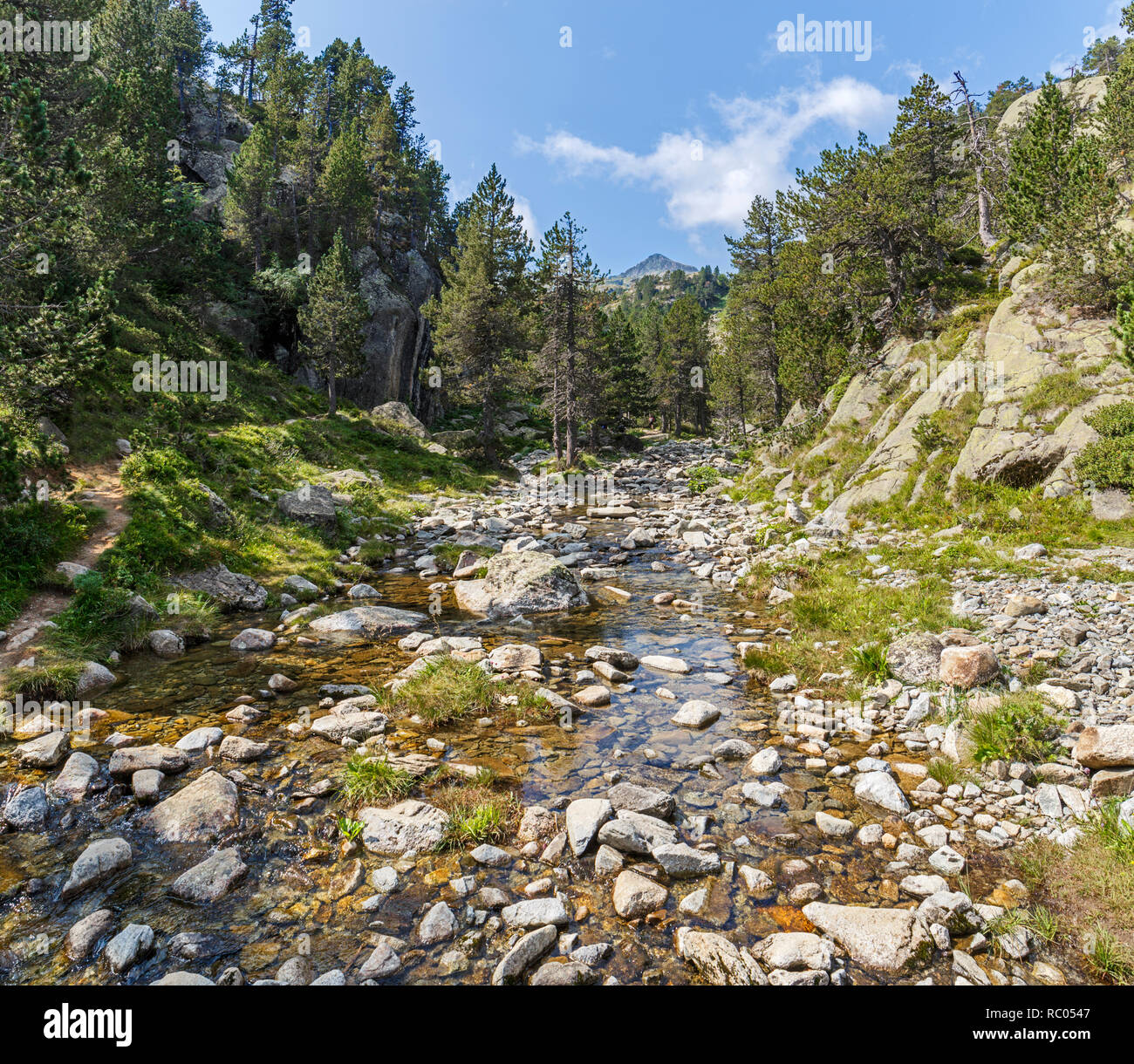 Creek qui s'écoule dans une vallée dans les Pyrénées Catalanes Banque D'Images