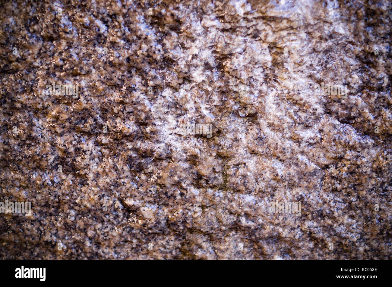 Mur de granit beige cave humide avec la texture de fond. vignette, géologique. Banque D'Images