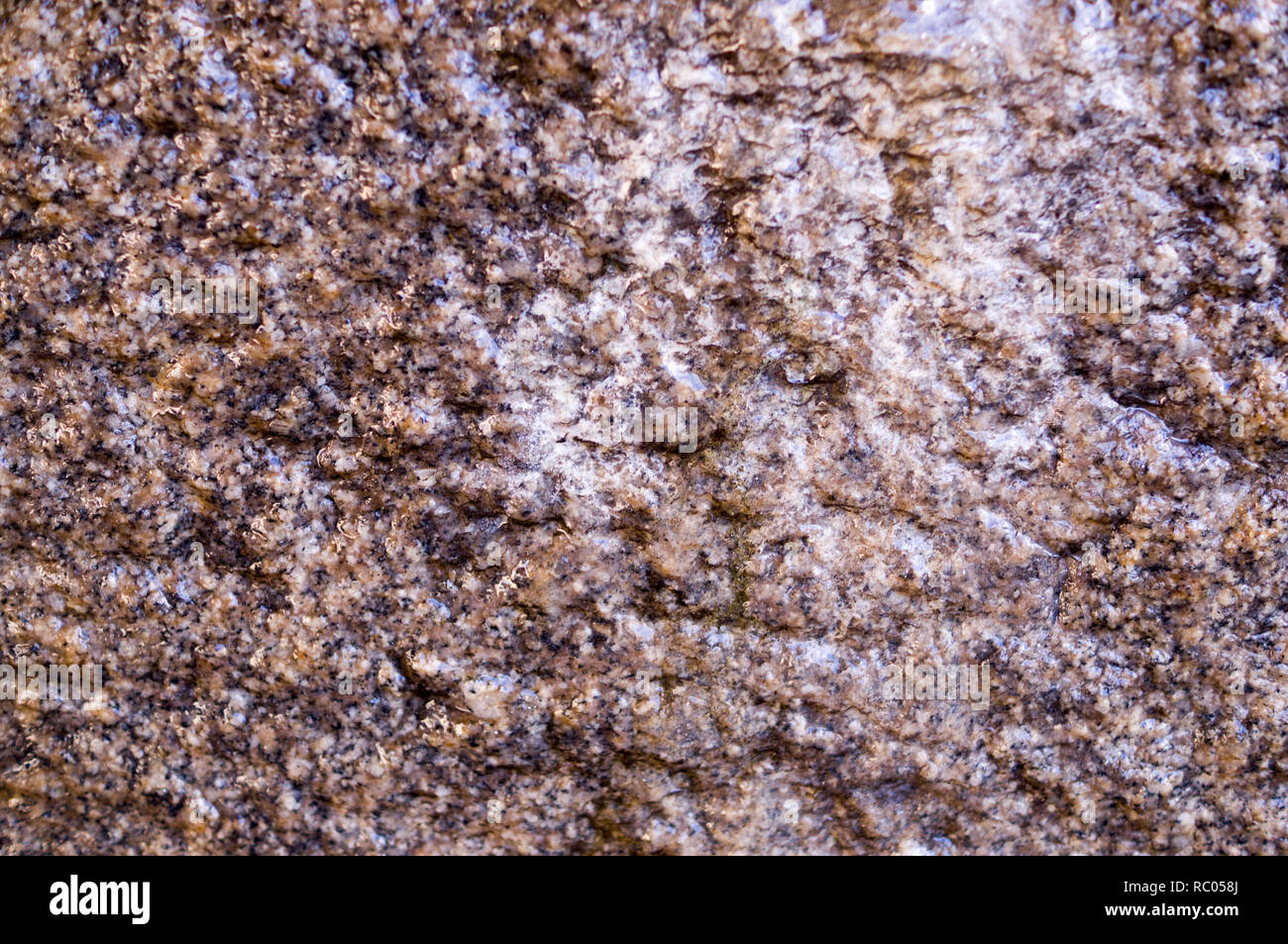 Grotte humide mur de granit beige texture. Contexte, géologique. Banque D'Images