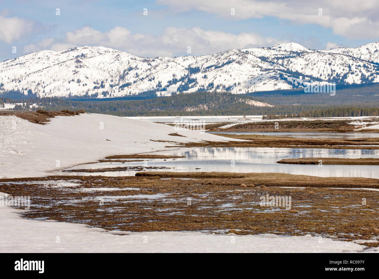 Yellowstone River au début du printemps avec ses montagnes couvertes de neige, dans le Parc National de Yellowstone, Wyoming Banque D'Images