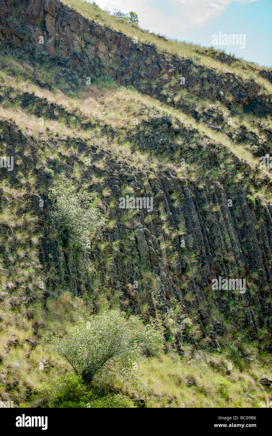 La rhyolite est une roche ignée. Les structures sont appelées colonnes de jointoiement. Vu fromSnake River dans le Hells Canyon National Recreation Area. Banque D'Images