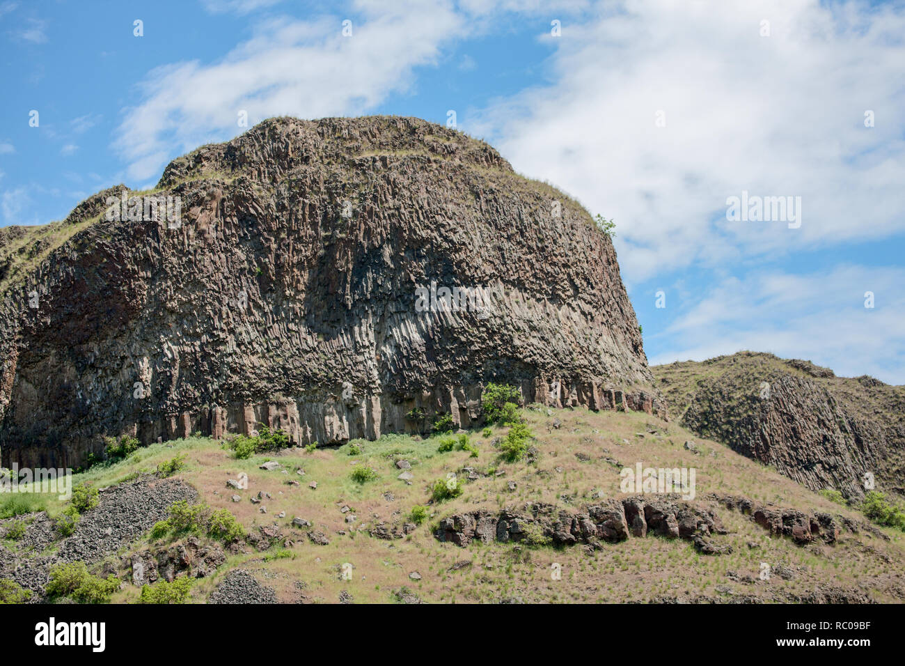 La rhyolite est une roche ignée. Les structures sont appelées colonnes de jointoiement. Vue à partir de la rivière Snake dans le Hells Canyon National Recreation Area. Banque D'Images
