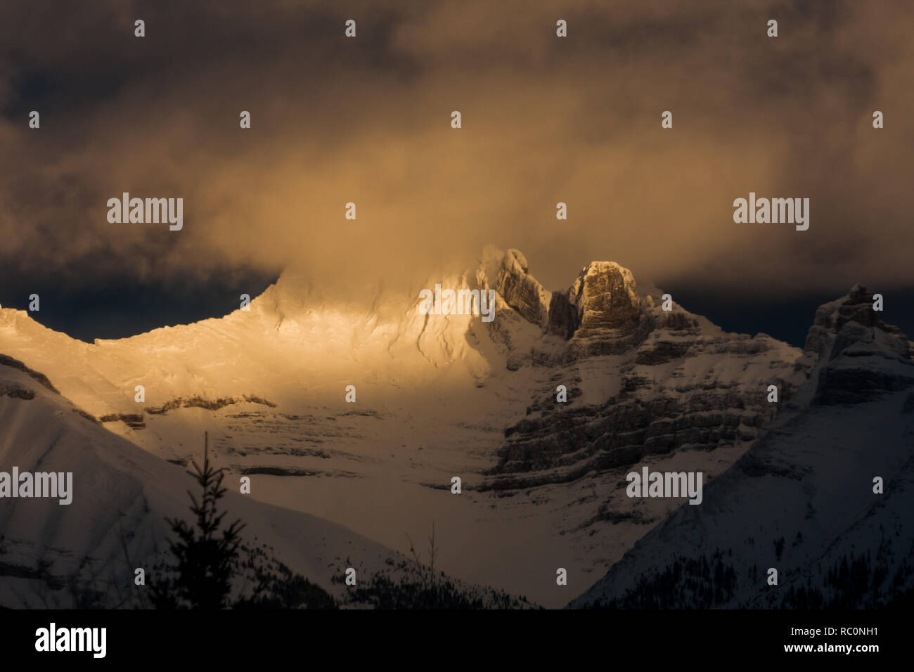Coucher de soleil illumine la neige fraîche sur les sommets des montagnes dans le parc national de Banff, la création d'une lueur dorée, lors de belle journée d'hiver dans les Rocheuses canadiennes. Banque D'Images