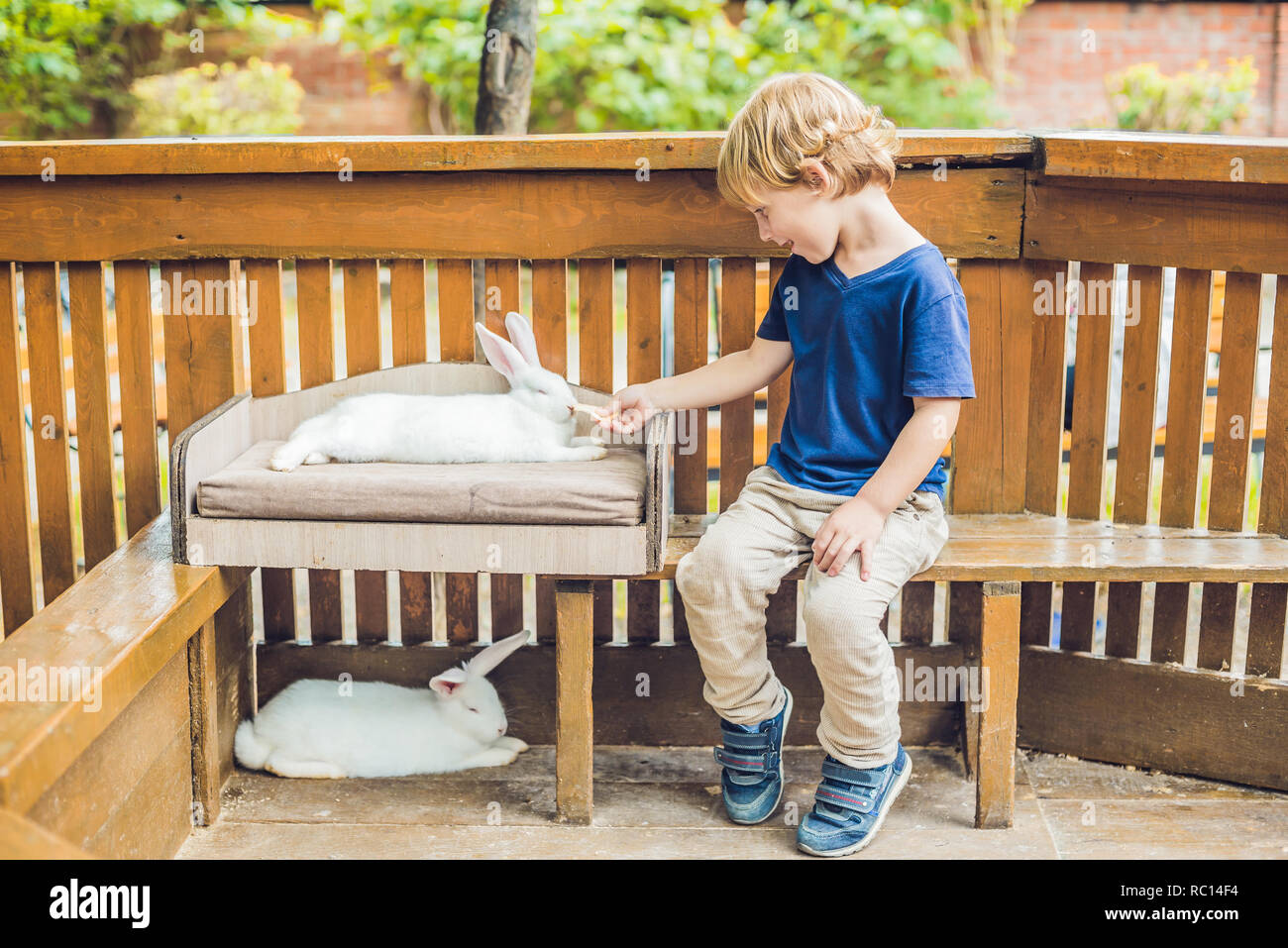 Bébé garçon caresses et jouer avec le lapin dans le zoo pour enfants.  concept de durabilité, l'amour de la nature, le respect pour le monde et  l'amour pour les animaux. Ecologic, biologique,