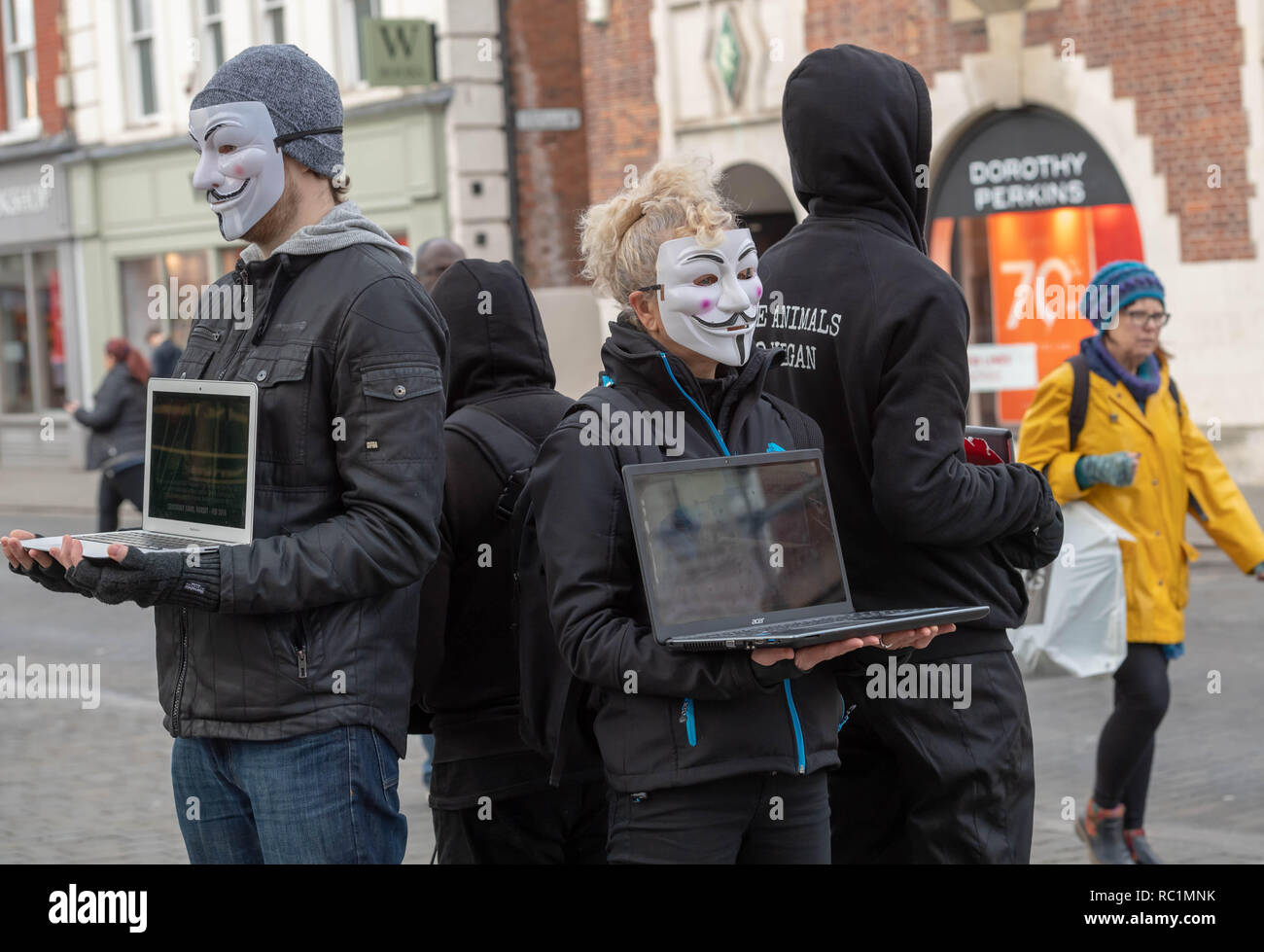 Brentwood, Essex, Royaume-Uni. 13 janvier 2019. Un cube de vérité protester à Brentwood High Street par anonyme pour les sans voix ; un groupe de promouvoir le véganisme et le bien-être des animaux. Les ordinateurs portables et écrans vidéos montrent des images pénibles d'allégations de cruauté envers les animaux. Ian Davidson Crédit/Alamy Live News Banque D'Images