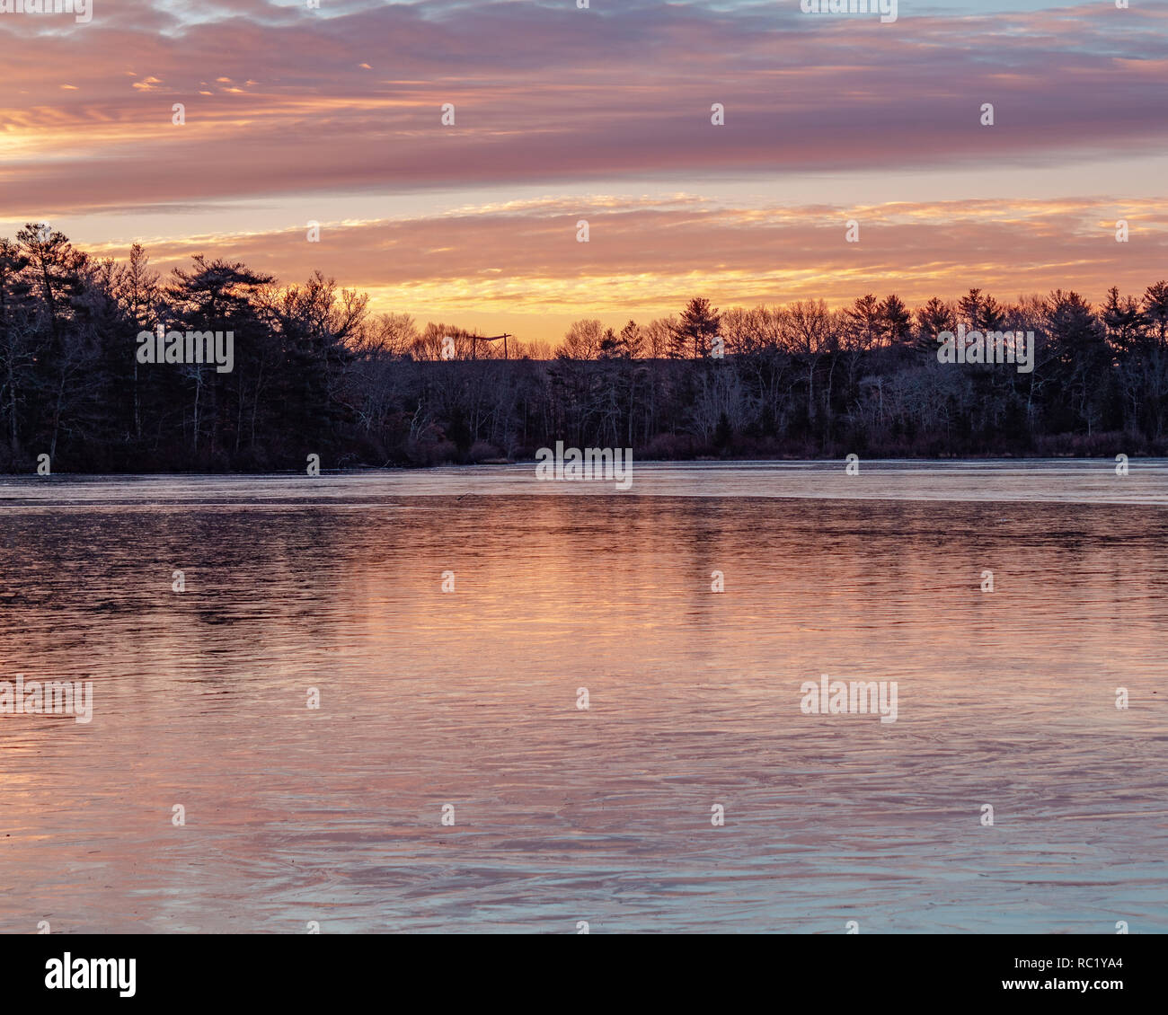 J'ai reçu cette photo par hasard, j'étais au bon endroit au bon moment, conduite par un petit étang sur un matin très froid, Banque D'Images