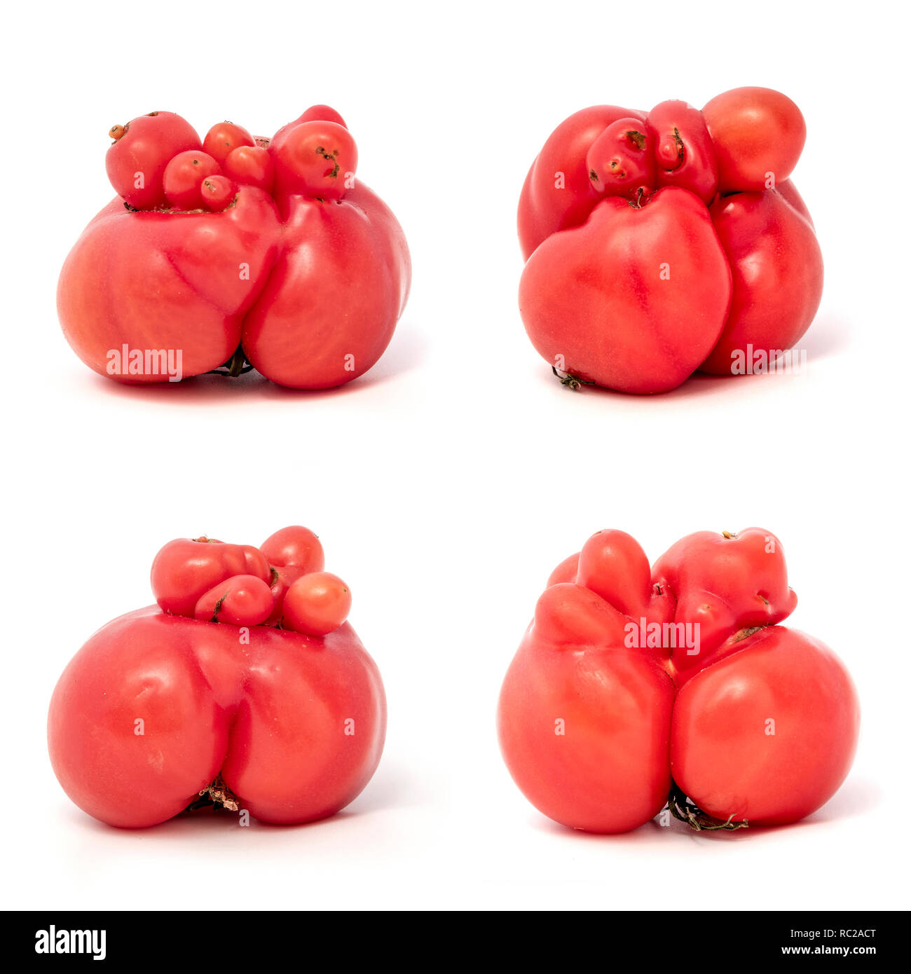 Collage de certaines tomates forme inhabituelle sur un fond blanc Banque D'Images