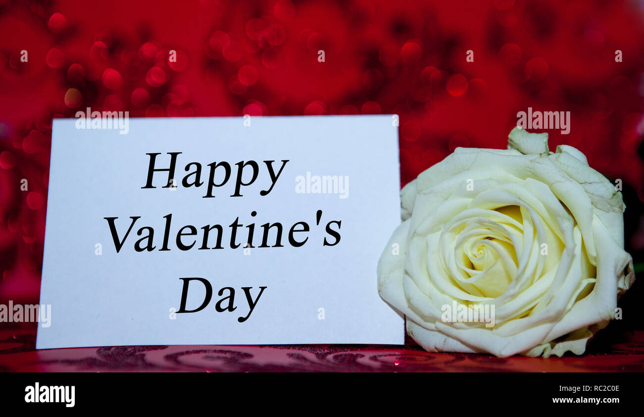 Rose blanche avec un trou pour le jour de la saint valentin sur un fond  rouge Photo Stock - Alamy