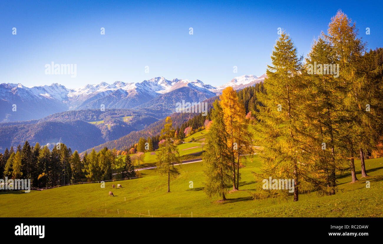 Montagnes des Dolomites, dans le paysage d'automne l'Ultental ( Val d'Ultimo ) dans le Tyrol du Sud, les Alpes, le nord de l'Italie, l'Europe. Beauté de la nature concept . Banque D'Images