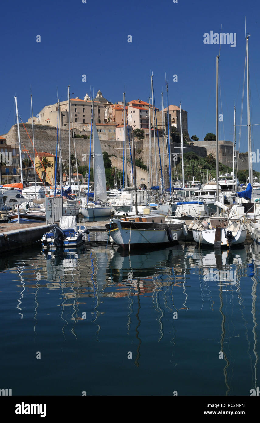 Autour de la Corse - La marina animée à Calvi, étant dominé par la citadelle. Banque D'Images