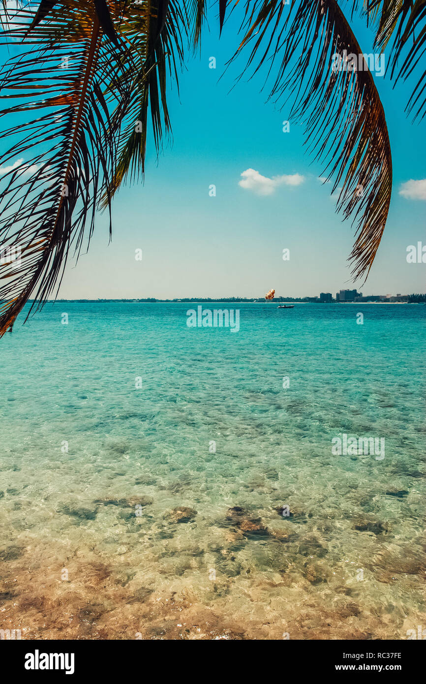 Île tropicale en Bahamas. Vue sur la plage avec palmier. Destination vacances. Banque D'Images