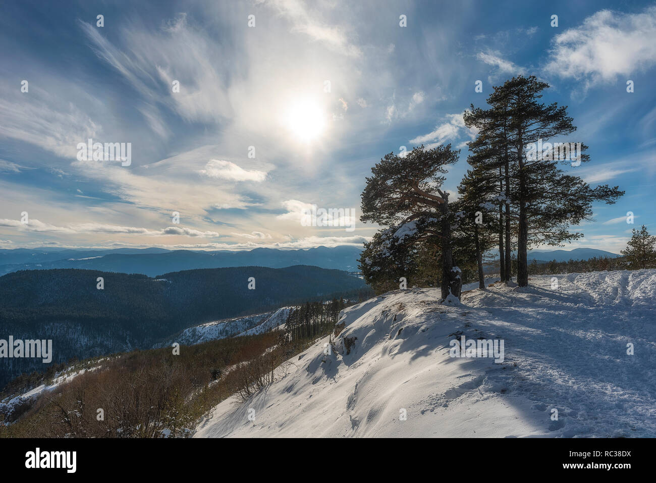 Hiver neige en montagne Rhodope en Bulgarie Banque D'Images