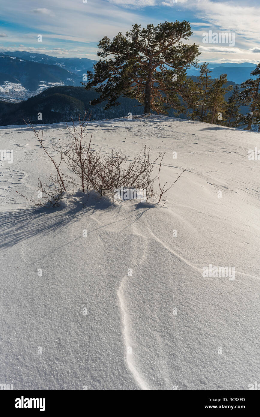 Hiver neige en montagne Rhodope en Bulgarie Banque D'Images