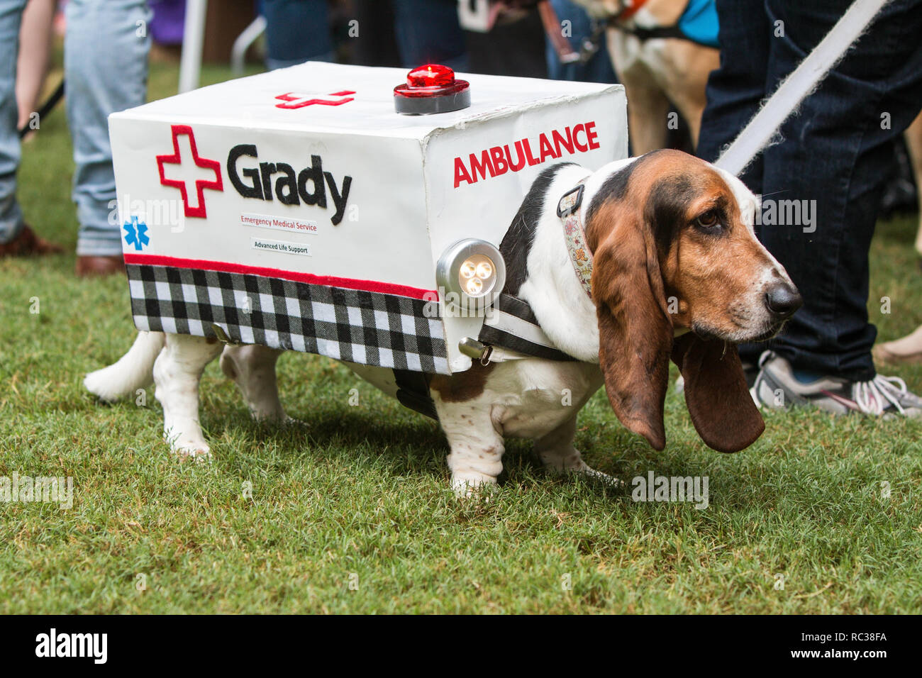 A cute basset-hound porte un costume d'ambulance de feux clignotants à Doggy Con, un concours de costume de chien le 18 août 2018 à Atlanta, GA. Banque D'Images