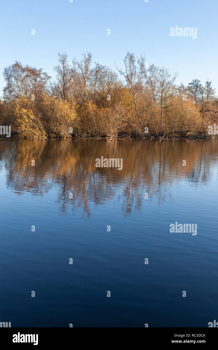 La lumière de l'après-midi, Stocker's Lake Nature Reserve, Rickmansworth Aquadrome Banque D'Images