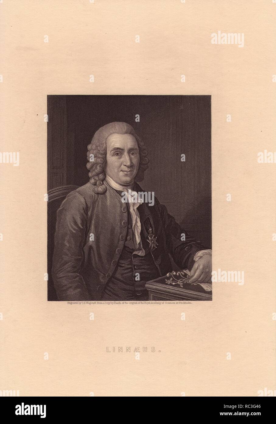 Carl von Linné (1707-1778), également connu sous le nom de Carl von Linné ou Carolus Linnaeus, est souvent appelé le père de la taxonomie. . . . Portrait gravé sur acier par C.E. Wagstaff à partir d'une copie par Pasch de l'original en peinture à l'Académie Royale des Sciences, Stockholm, de Charles Chevalier de la "galerie de portraits" 1835. Banque D'Images
