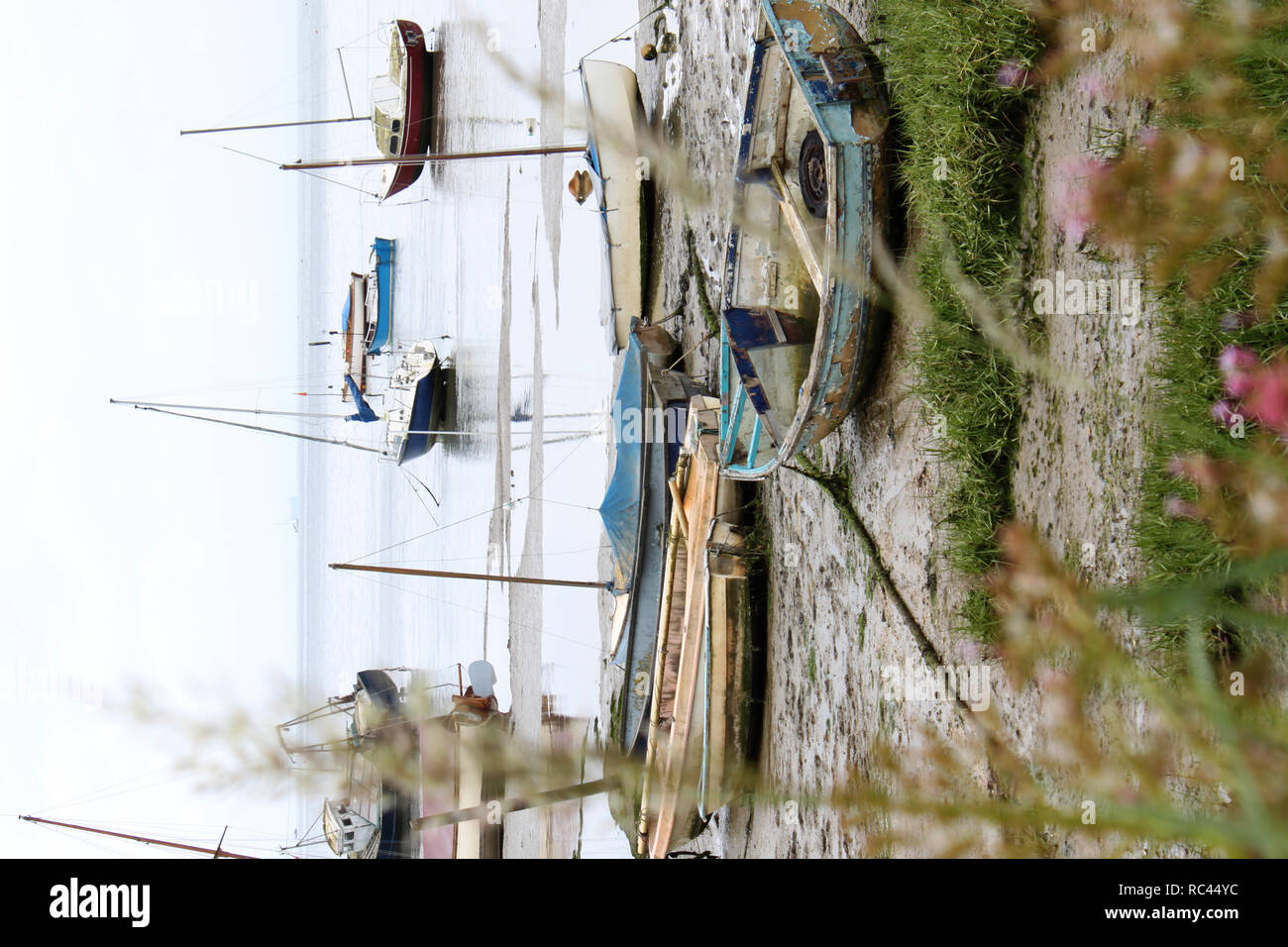 Bateaux à Leigh-on-Sea, Essex, UK Banque D'Images