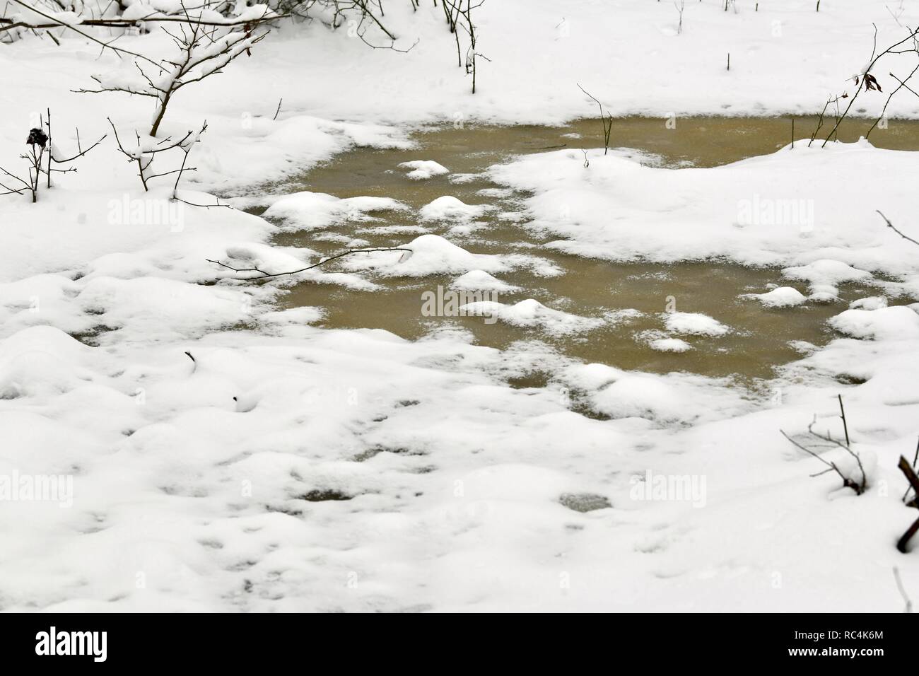 La neige et la glace de tempête de Gia, 13 janvier 2019. Banque D'Images