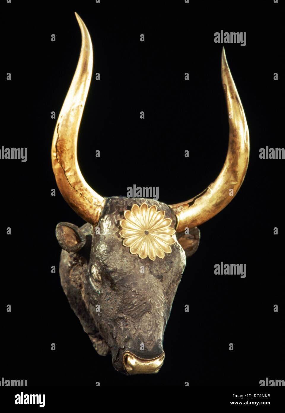 Tombes Royales de Mycènes. 16e siècle av. Rhyton en argent en forme de tête de bovin, cornes d'or et de rosette. Tombeau IV. Cercle Grave A. Musée Archéologique National. Athènes, Grèce. Banque D'Images