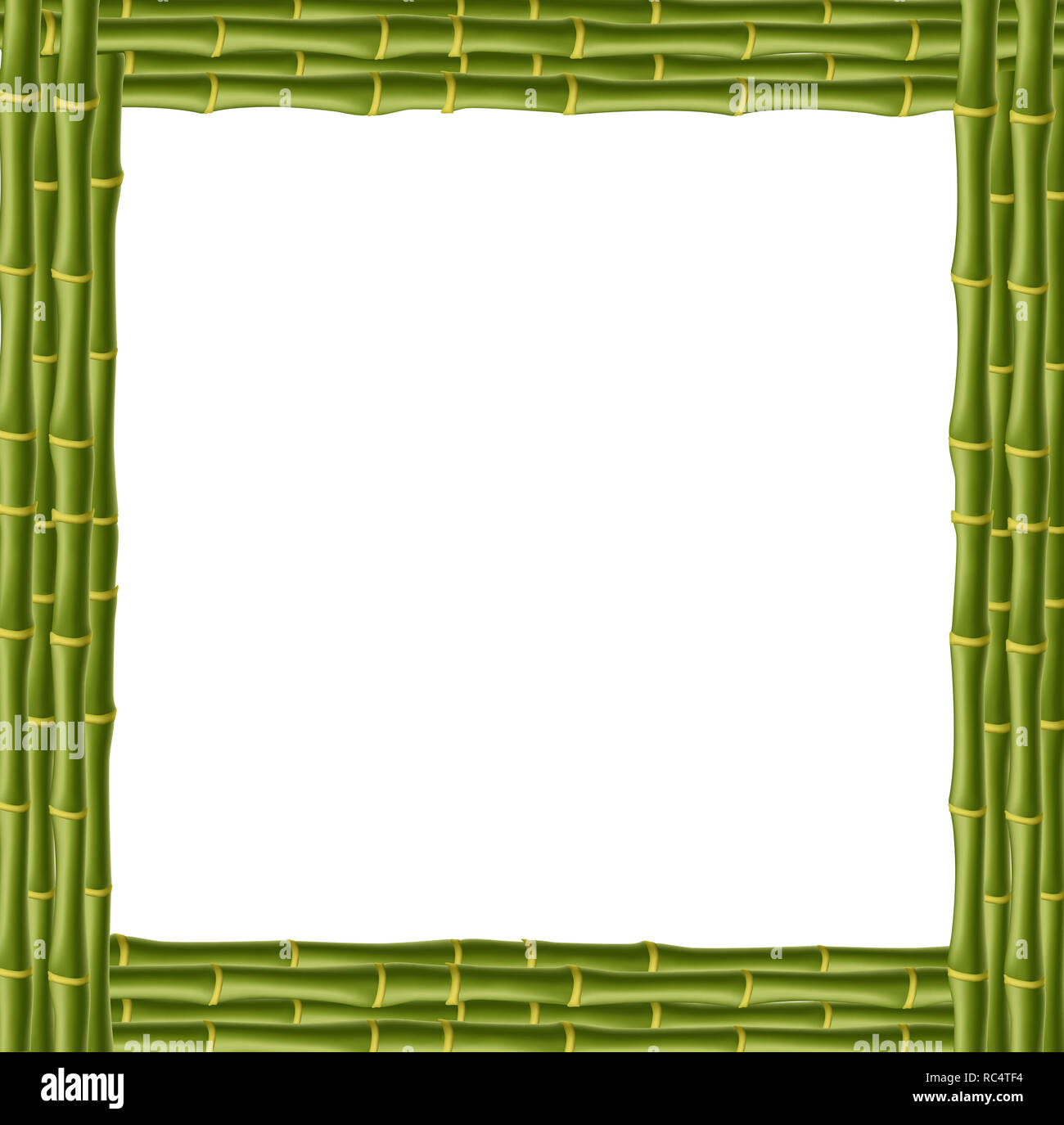 En bois vert carré border frame faite de tiges de bambou réaliste avec copie espace vide pour le texte ou image. clip art, bannière, modèle, pancarte, billb Banque D'Images