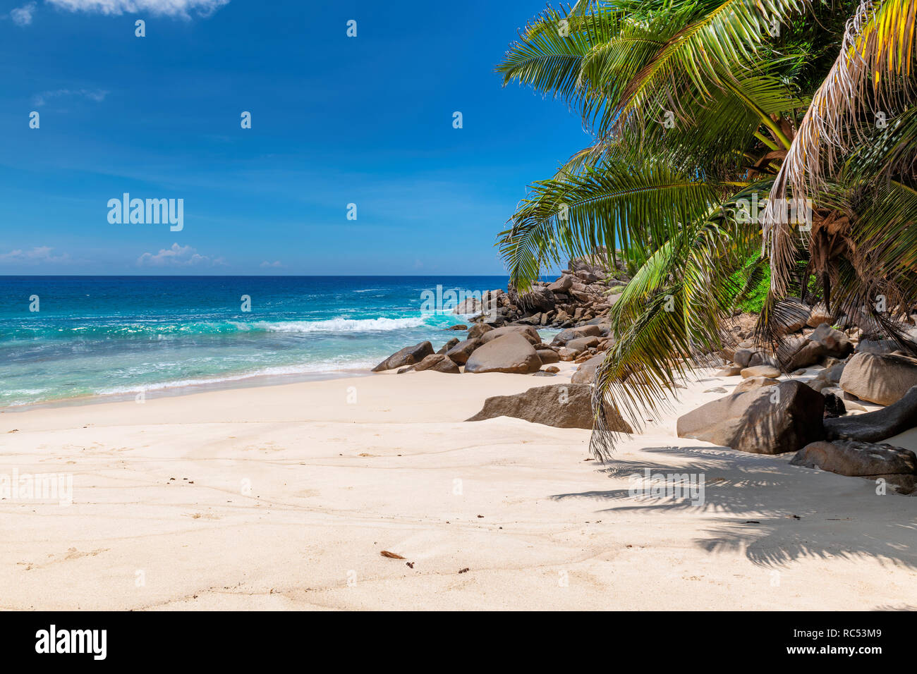 Plage de sable avec des palmiers et la mer turquoise en île des Caraïbes. Banque D'Images