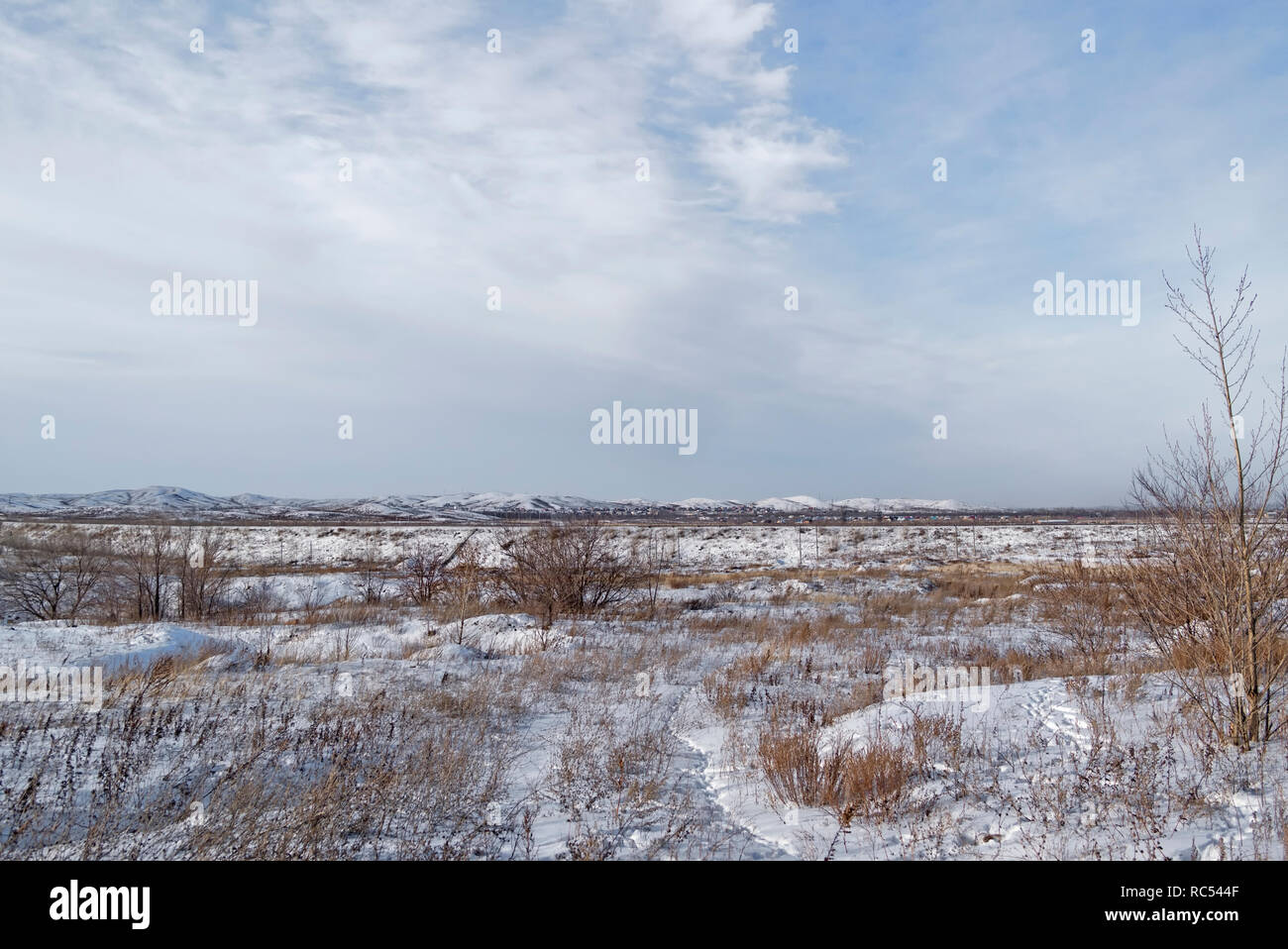 Paysage d'hiver. Horizon. L'hiver. Banque D'Images