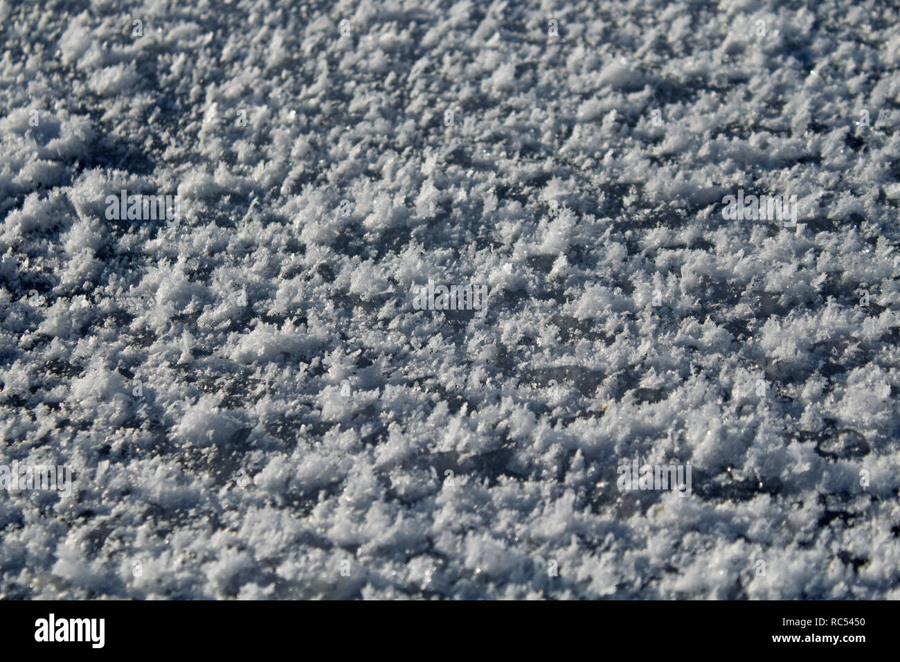 La glace et la neige. La texture de la neige. La texture de la glace. La neige fond. Banque D'Images
