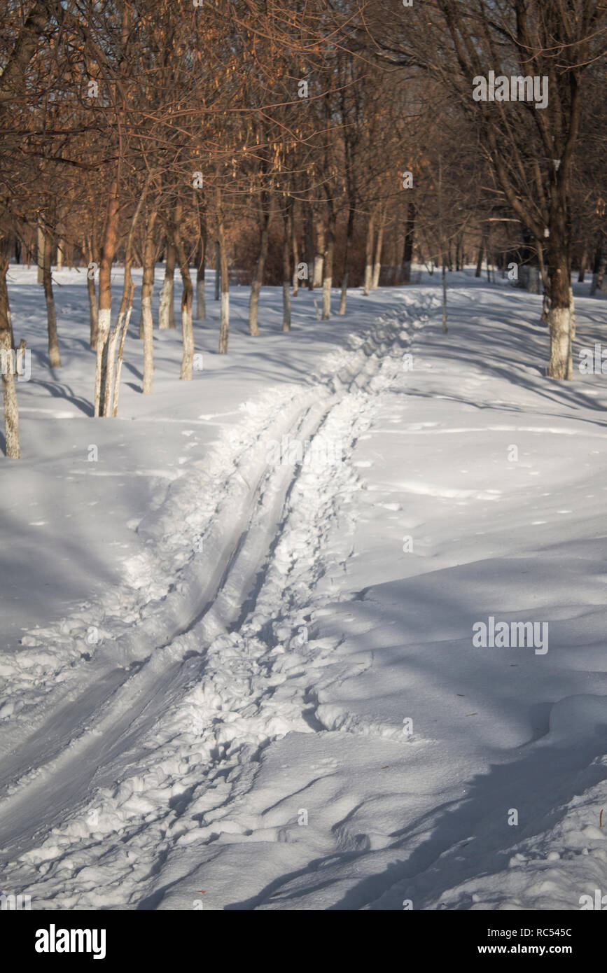 Piste de ski dans le parc. Winter Park. Banque D'Images