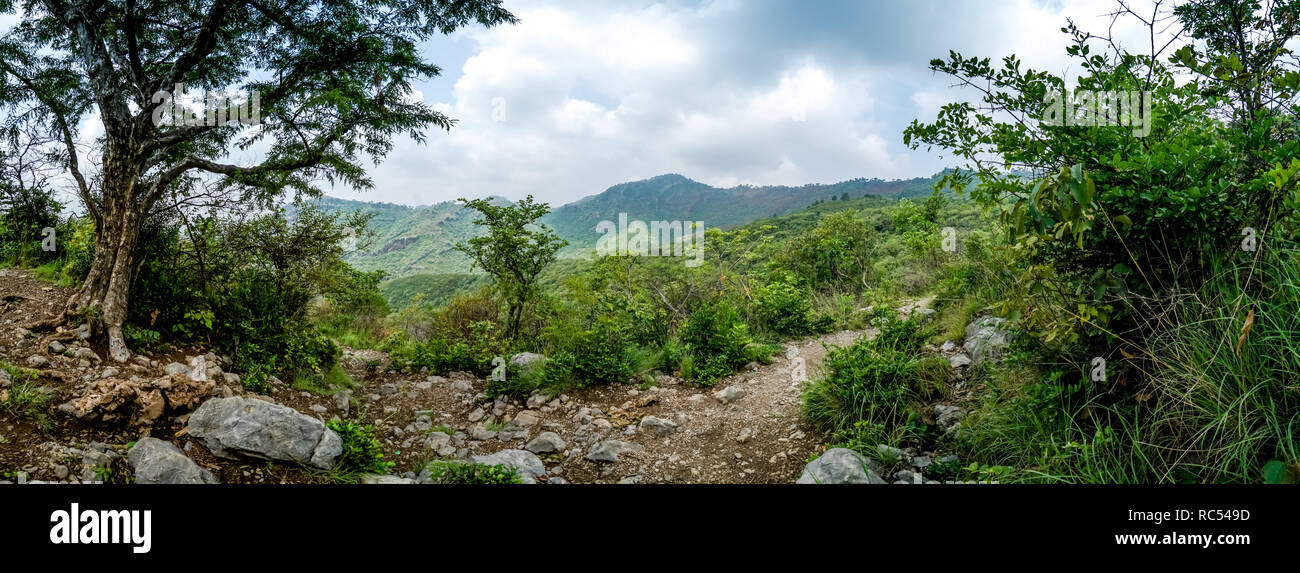 Vue panoramique des montagnes vertes du sentier de randonnée à Islamabad, Pakistan Banque D'Images