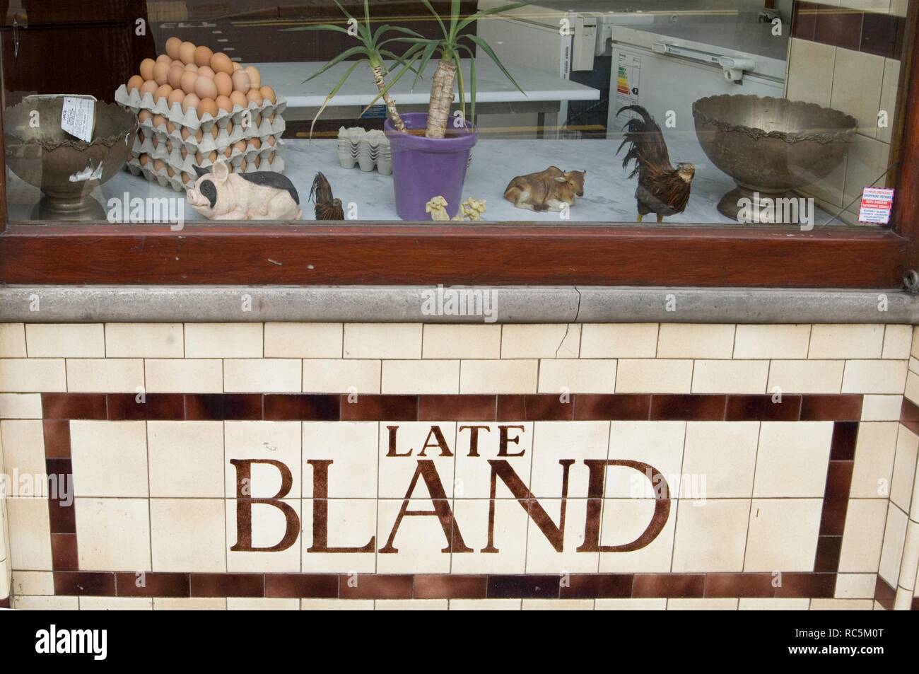 Vitrine, St John Street, Islington, Londres, 2005. Organisateur : Derek Kendall. Banque D'Images