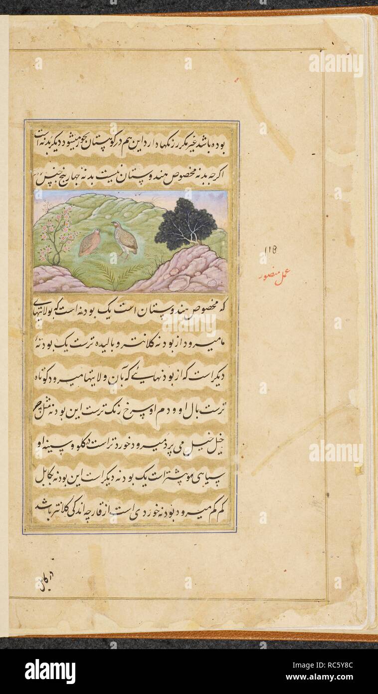 Photos d'arbres, fleurs, jardins et animaux. . Vaki'at-i Baburi, les mémoires de Babur, traduit de l'original par Turki Mirza Abd al-Rahim, Khan-i khanan. Cent quarante-trois miniatures (surtout avec des attributions). c.1590. Aquarelle opaque. Style moghol moghol Akbar ;/style. Source : Ou. 3714 Vol.4 f.388v. Banque D'Images
