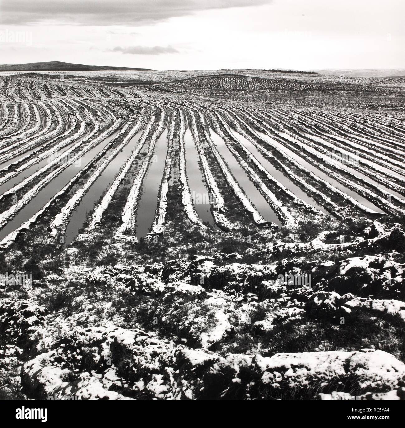 Paysage de neige drainées pour la foresterie, en 1989 à Lairg. Paysage de neige drainées pour la foresterie, en 1989 à Lairg. À partir de nos terres. interdit Photographie par Fay Godwin. . Source : FG 7080-3-10. Banque D'Images