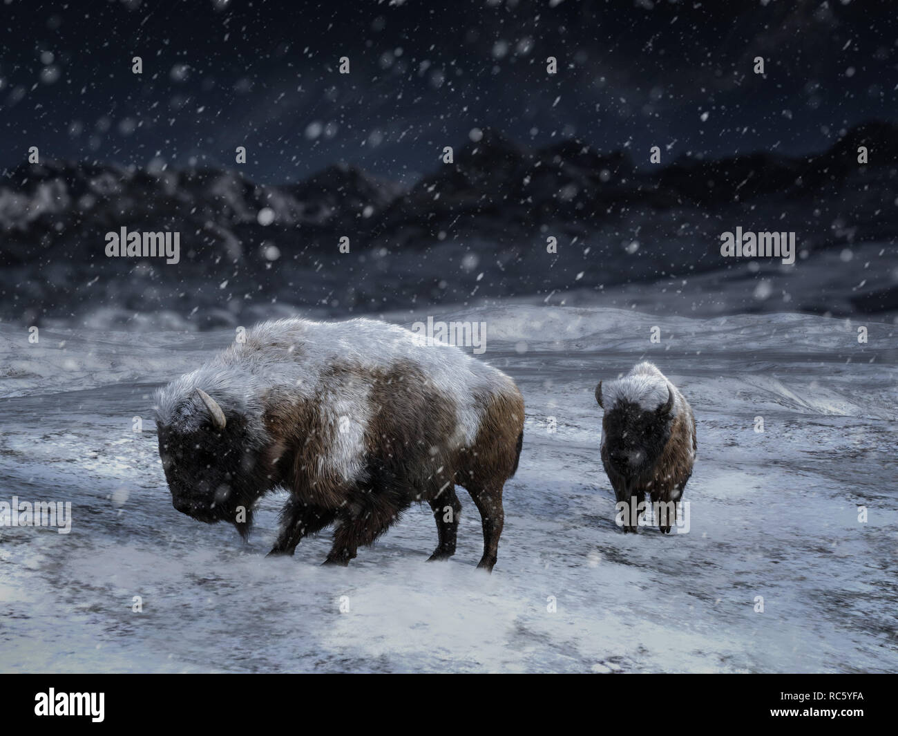 Le rendu 3D de deux majestueux ou bison bison dans un paysage d'hiver entouré par la neige. Banque D'Images