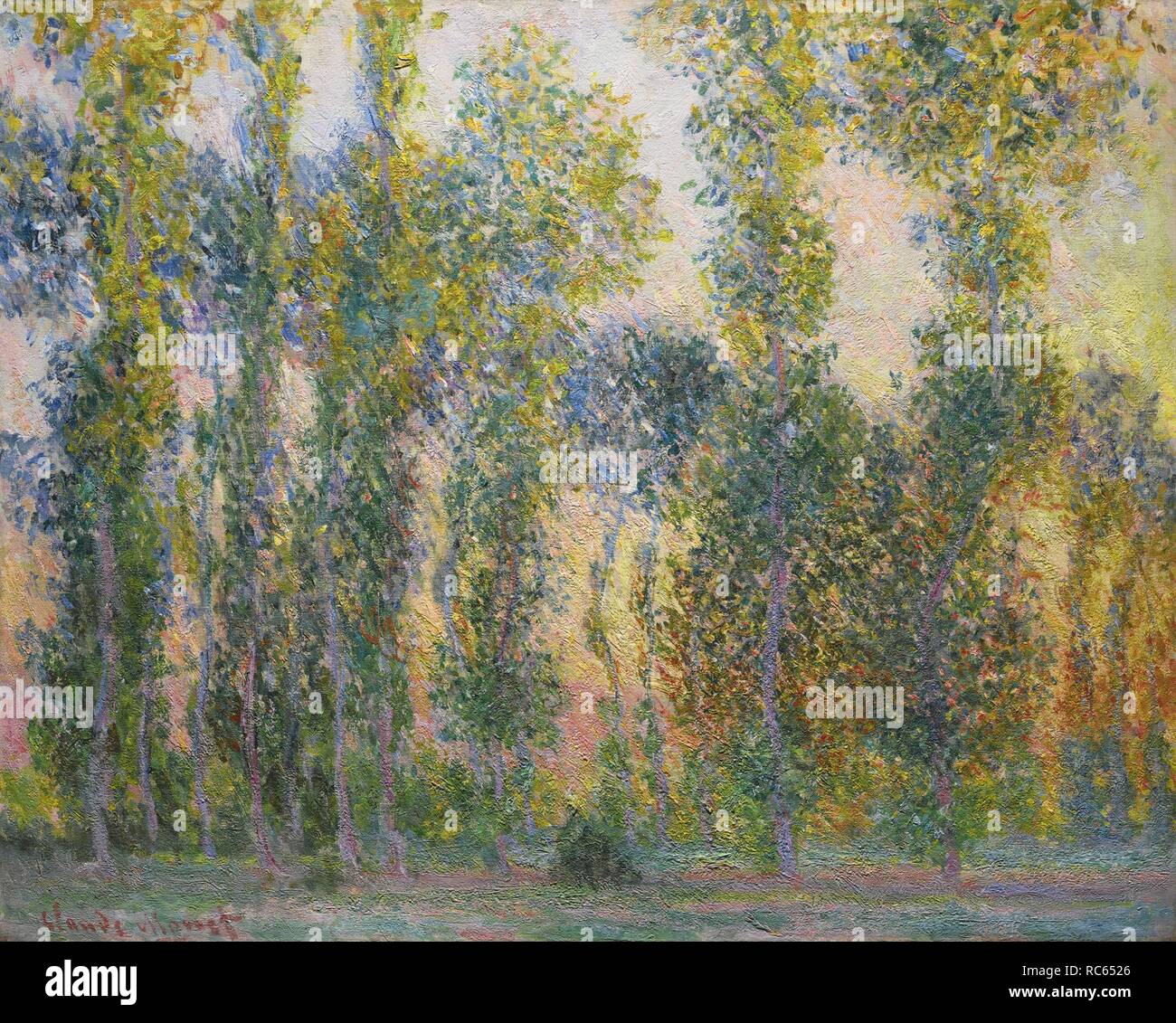 Les Peupliers à Giverny. Musée : collection privée. Auteur : MONET, CLAUDE. Banque D'Images