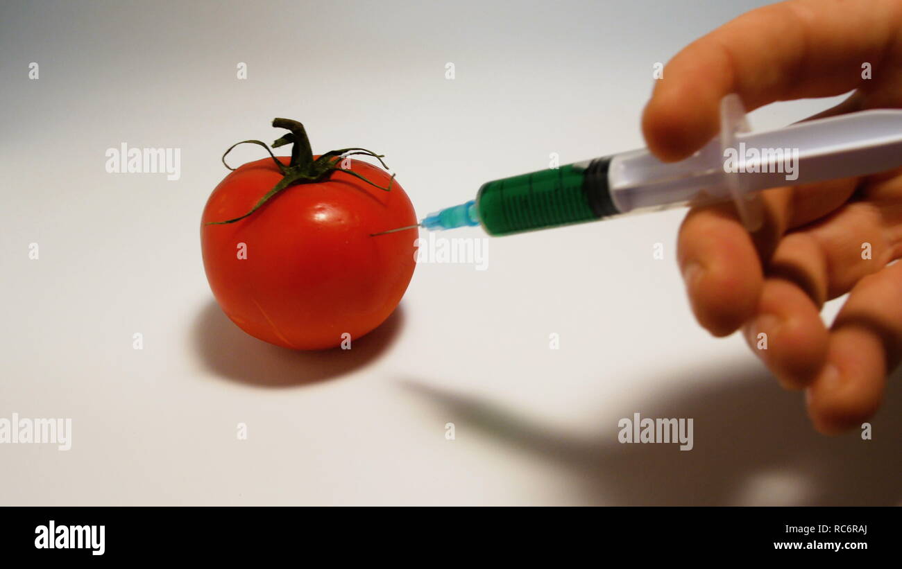 Part injecte une seringue d'un liquide vert ogm dans une tomate sur un fond blanc Banque D'Images