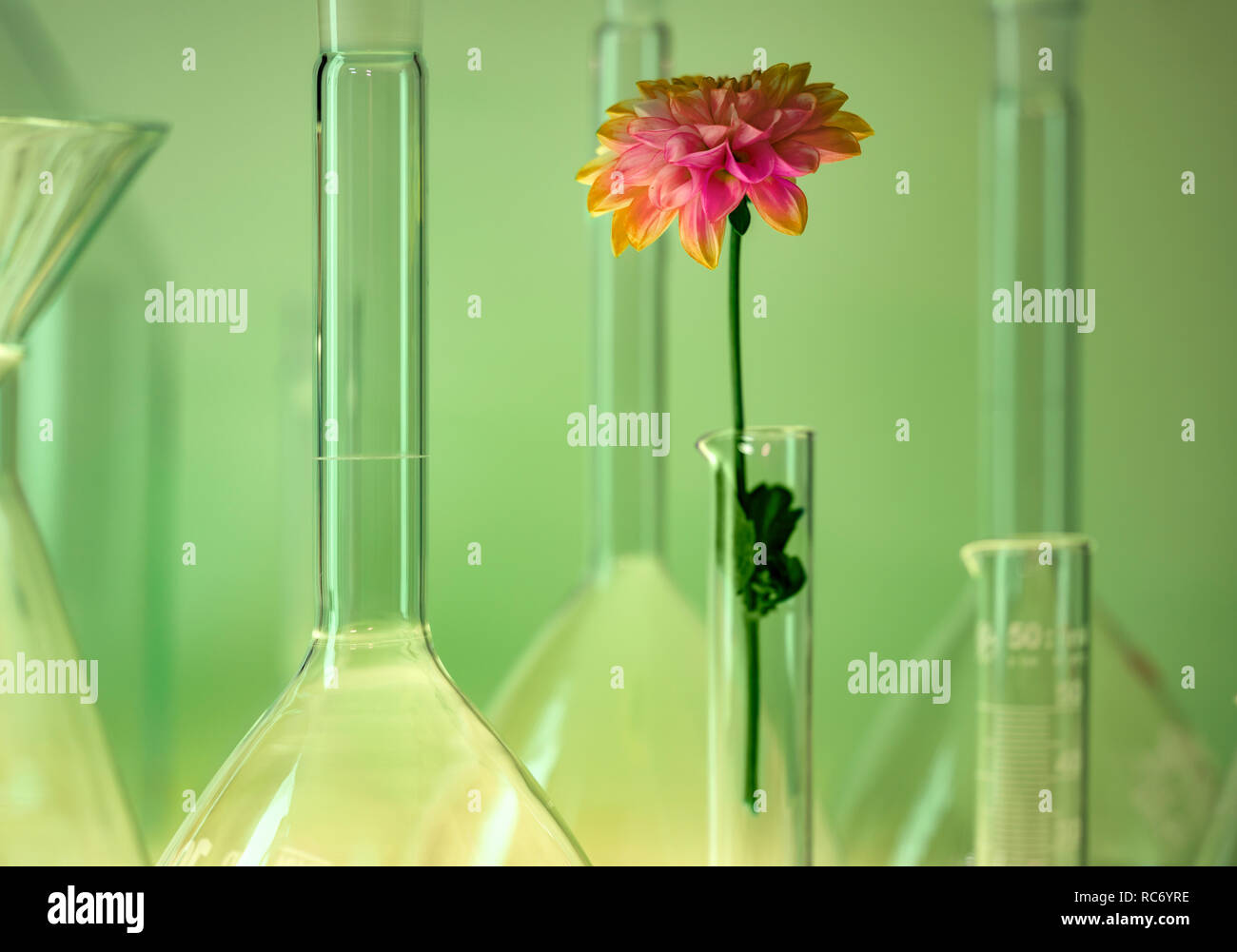 Detail shot montrant une variété de verrerie de laboratoire y compris le capitule en ambiance verte Banque D'Images