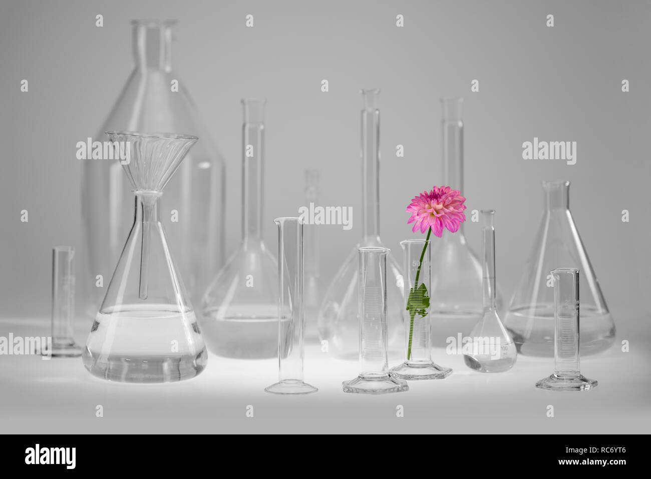 Variété de verrerie de laboratoire en partie rempli y compris un capitule. Banque D'Images