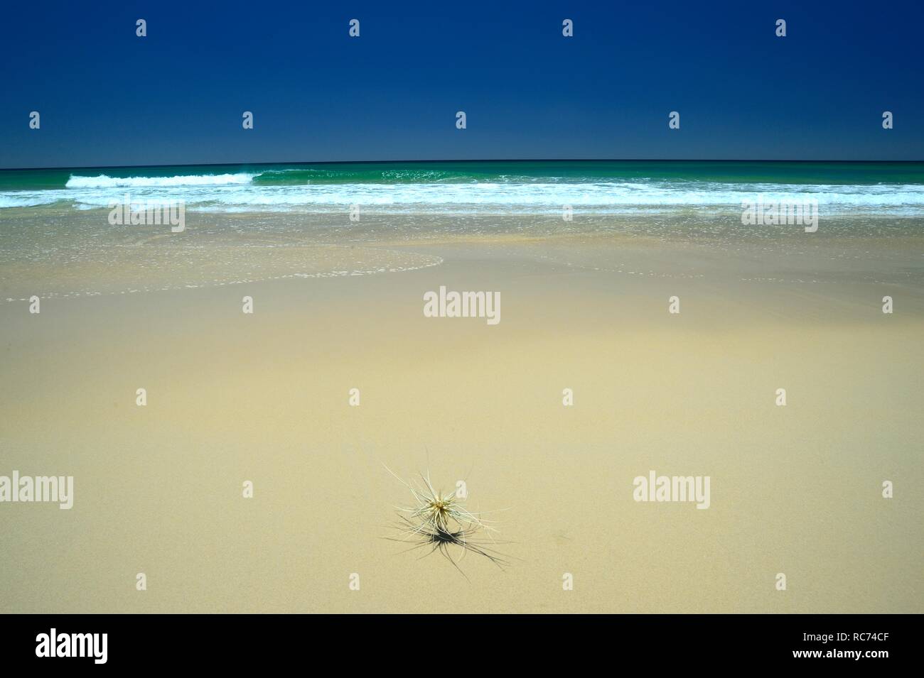 Soixante cinq Mile Beach, Fraser Island, Australie Banque D'Images