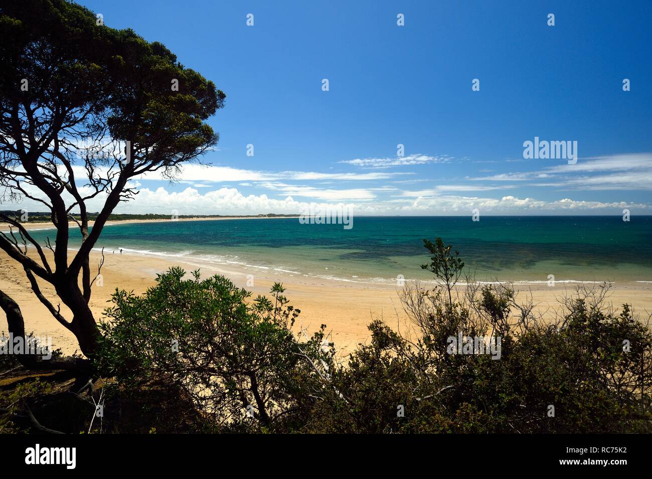 La plage de Torquay à Victoria en Australie Banque D'Images