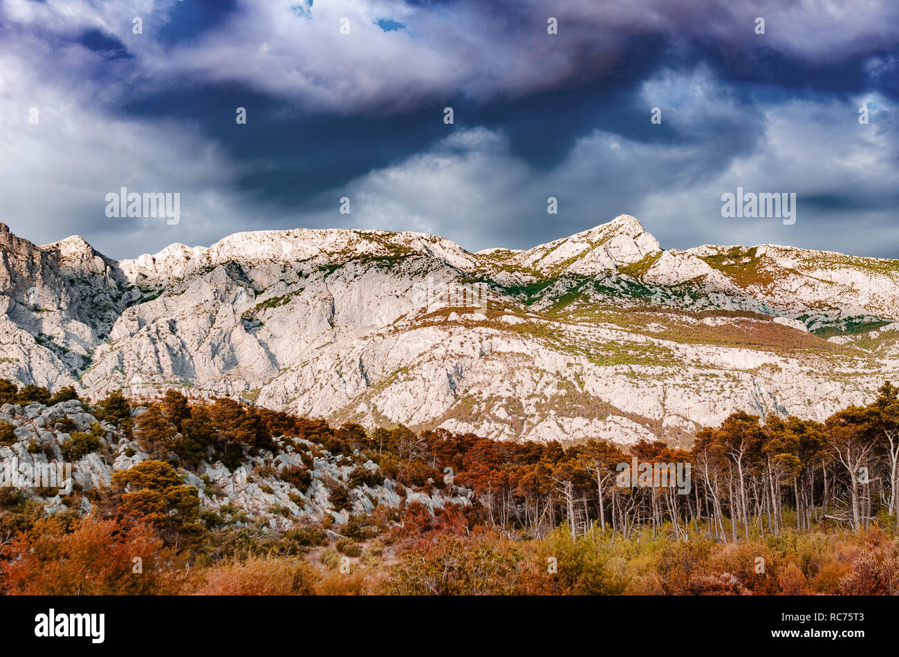 Vue de la rocky mountain. Banque D'Images