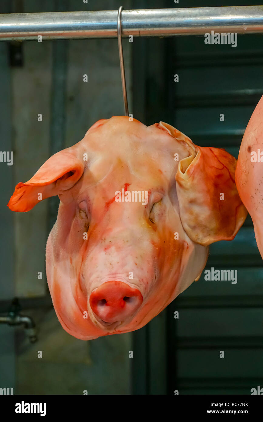 Tête rose d'un porc à l'Athens meat market Banque D'Images