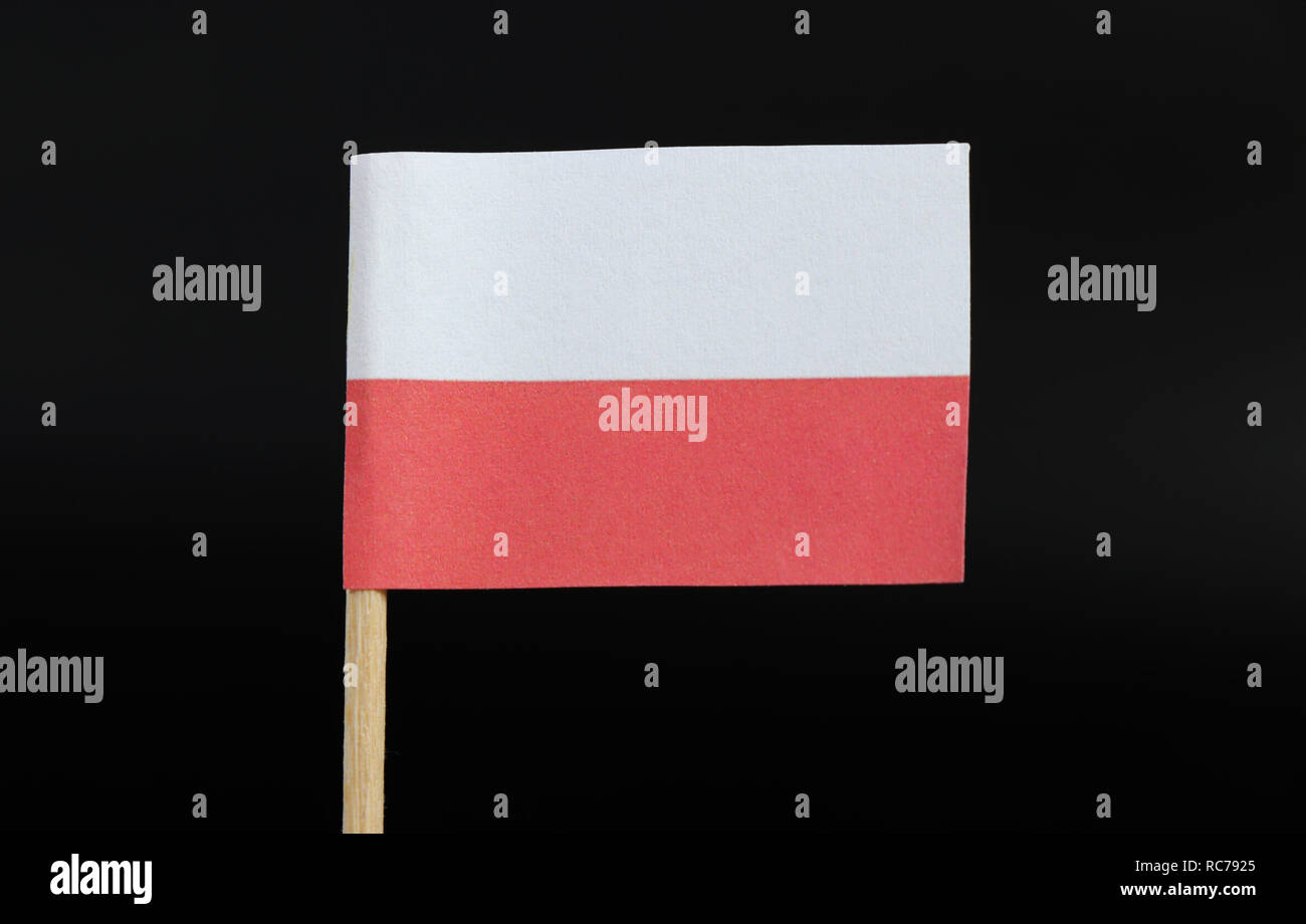 Un très simple et officielle drapeau de la Pologne le cure-dent sur fond noir. Se compose d'un bicolore horizontal de blanc et rouge. Banque D'Images