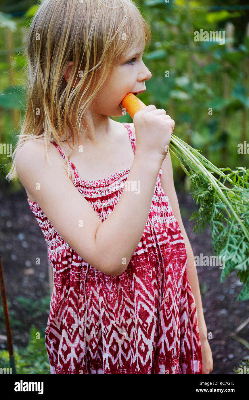 Girl eating carrot dans le champ Banque D'Images