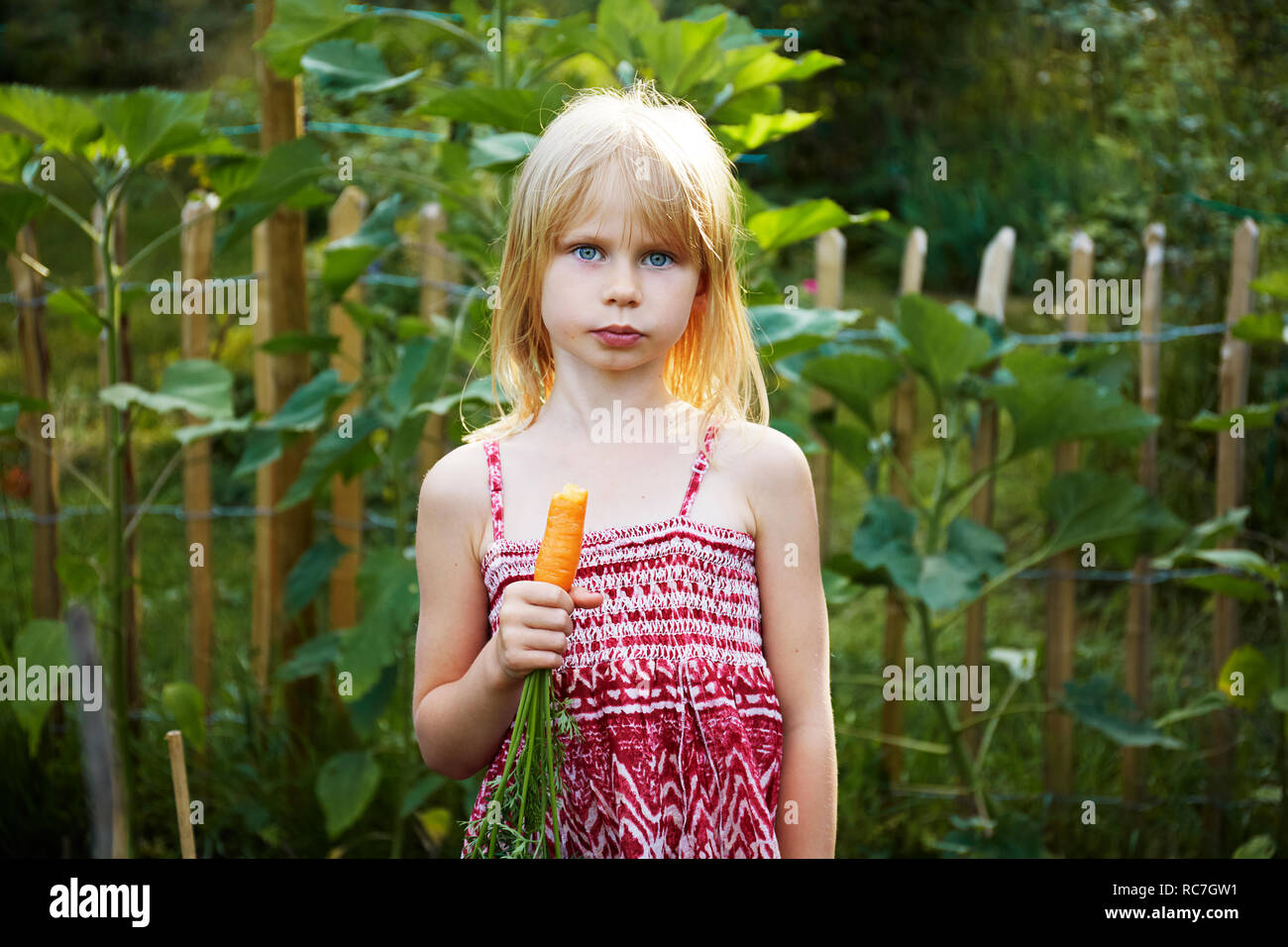 Portrait of Girl holding carotte Banque D'Images