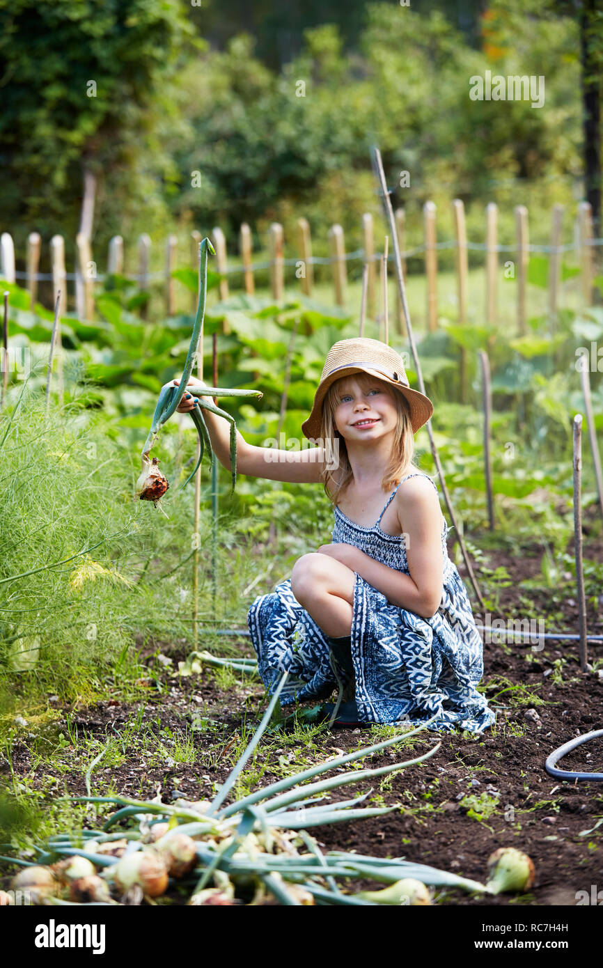 Girl picking up oignons Banque D'Images