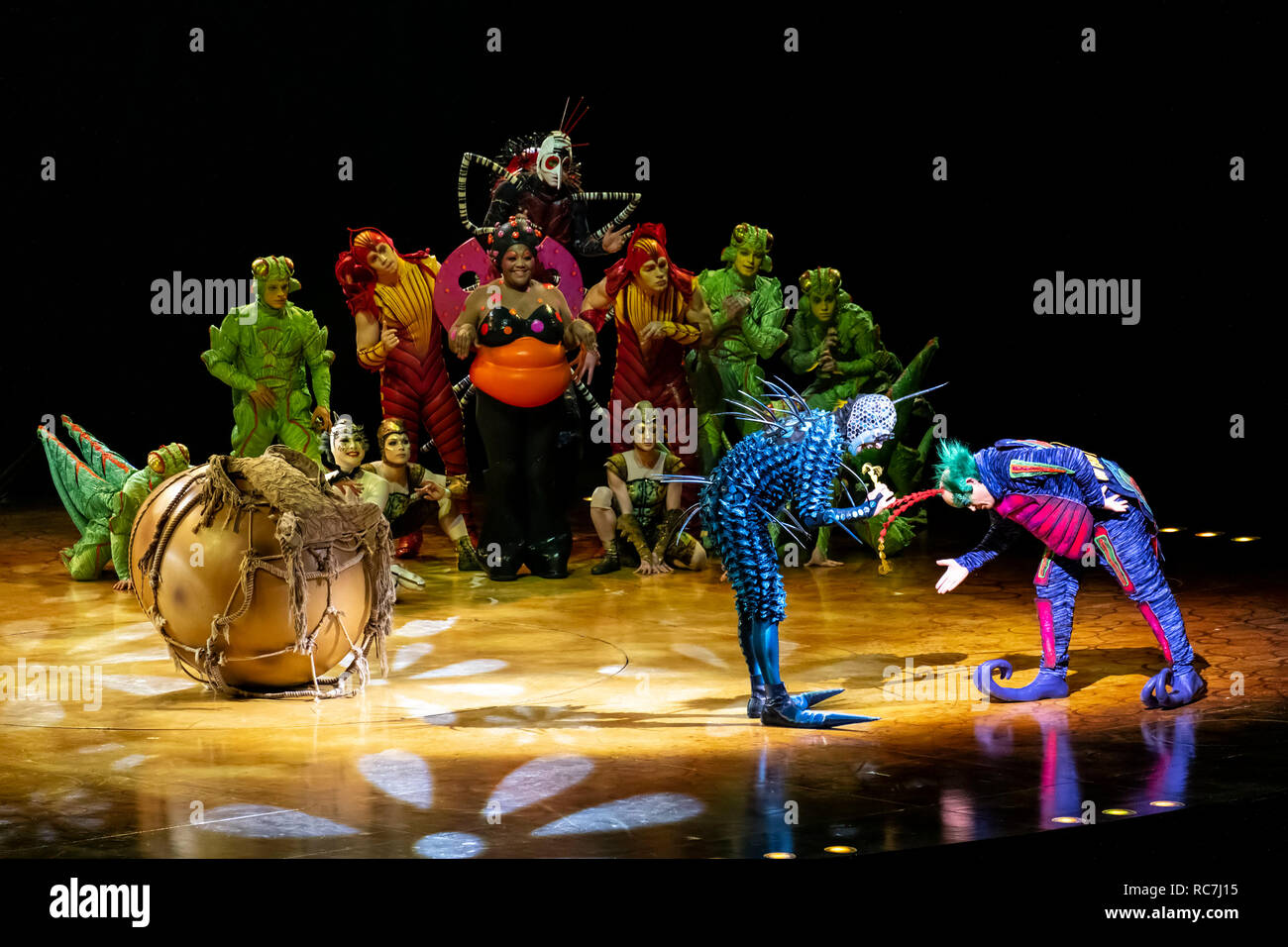 Ovo by cirque du soleil Banque de photographies et d’images à haute ...