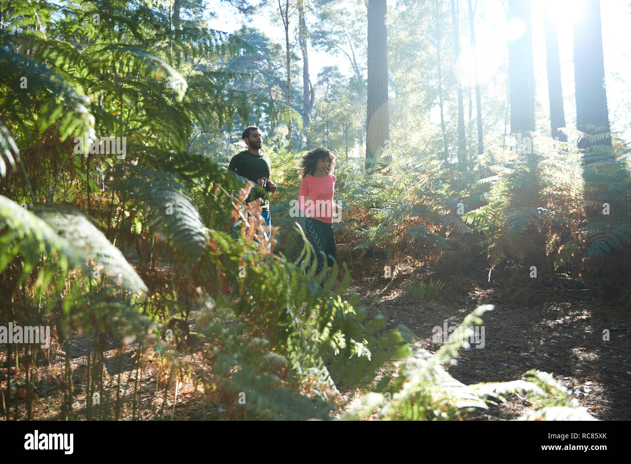 Les coureurs hommes et femmes ensemble à travers forêt baignée de fougères Banque D'Images